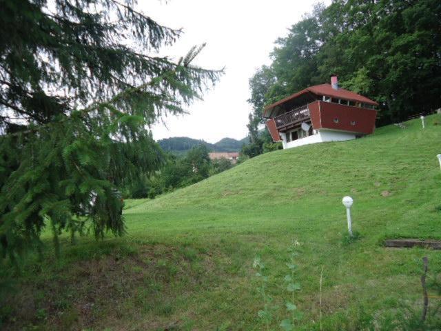 Chalet Contemporain Plein Nature Altenbach Ngoại thất bức ảnh